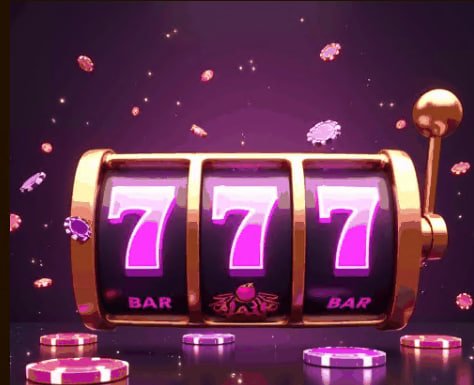 5556bet